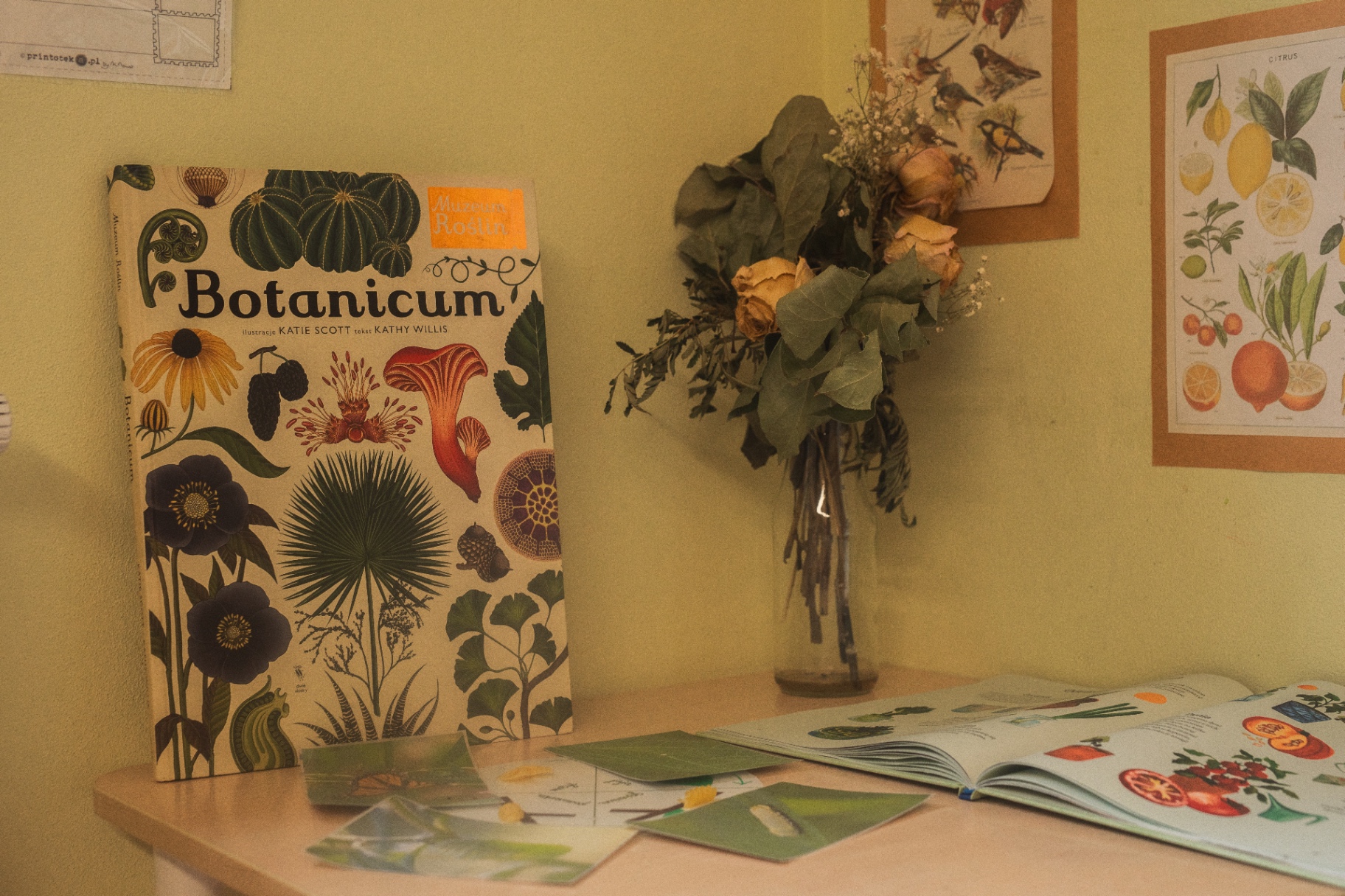 Książka „Botanicum" oparta o ścianę, obok bukiet suszonych kwiatów i otwarty atlas botaniczny